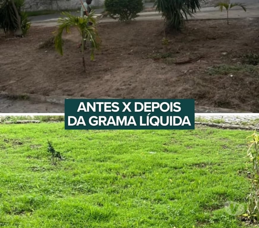 Serviços Agropecuários Campinas SP - Fotos para MIX HIDROSSSEMEADURA