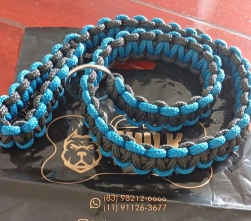 Veterinários - Serviços - Acessórios Patos PB - Fotos para Enforcador para cães