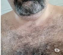 UrsoCoroa procura Coroas, Ursos, gordinhos