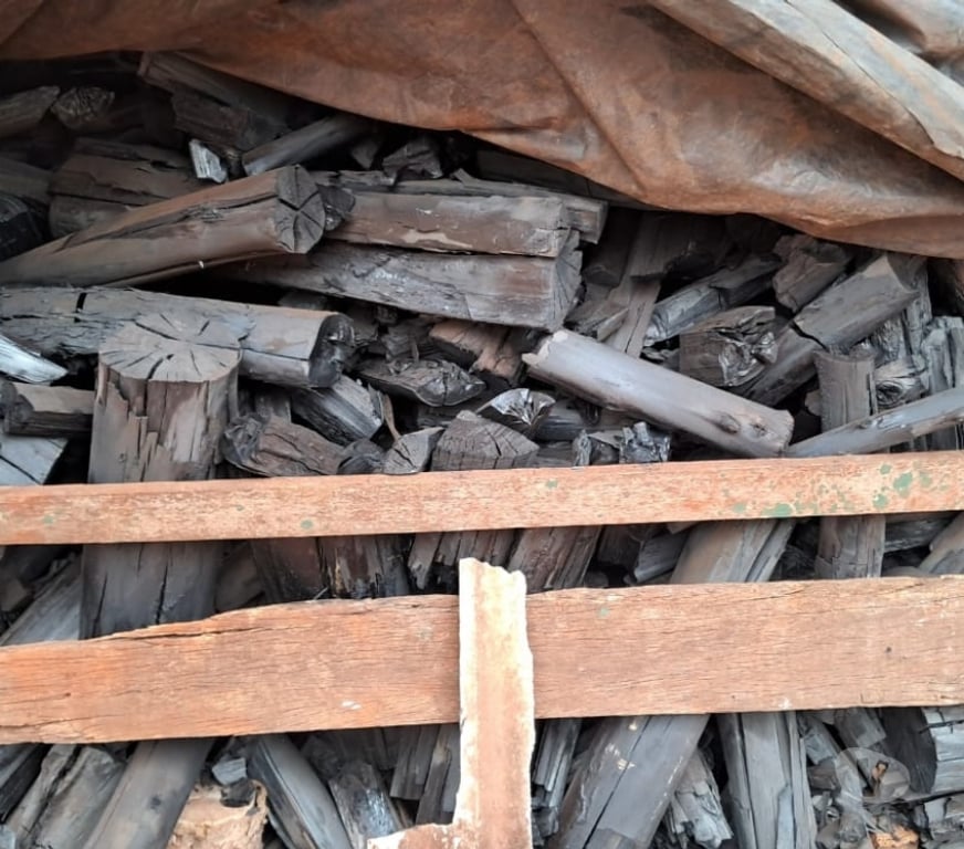 Produtos Rurais Sao Simao SP - Fotos para Carvão de Eucalipto