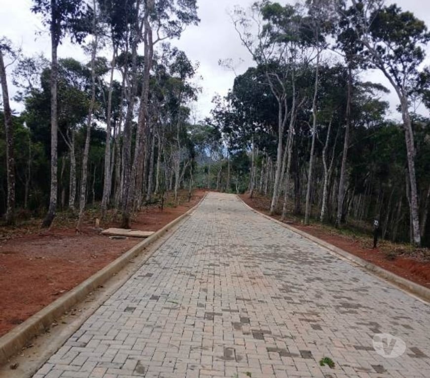 Empreendimentos imóveis Petropolis RJ - Fotos para MYO - Araras - Petrópolis RJ