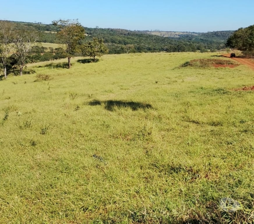 Fazendas - Sitios à venda Sao Sebastiao do Paraiso MG - Fotos para 11 alqueires com café