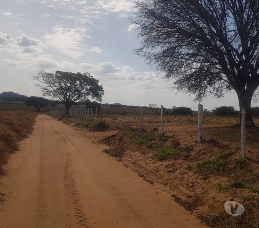 Fazendas - Sitios à venda Sao Sebastiao do Paraiso MG - Fotos para 11 alqueires com café