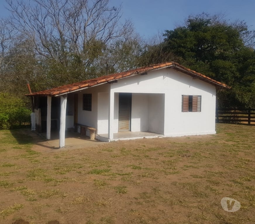 Fazendas - Sitios à venda Sao Sebastiao do Paraiso MG - Fotos para 11 alqueires com café