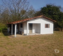 11 alqueires com café