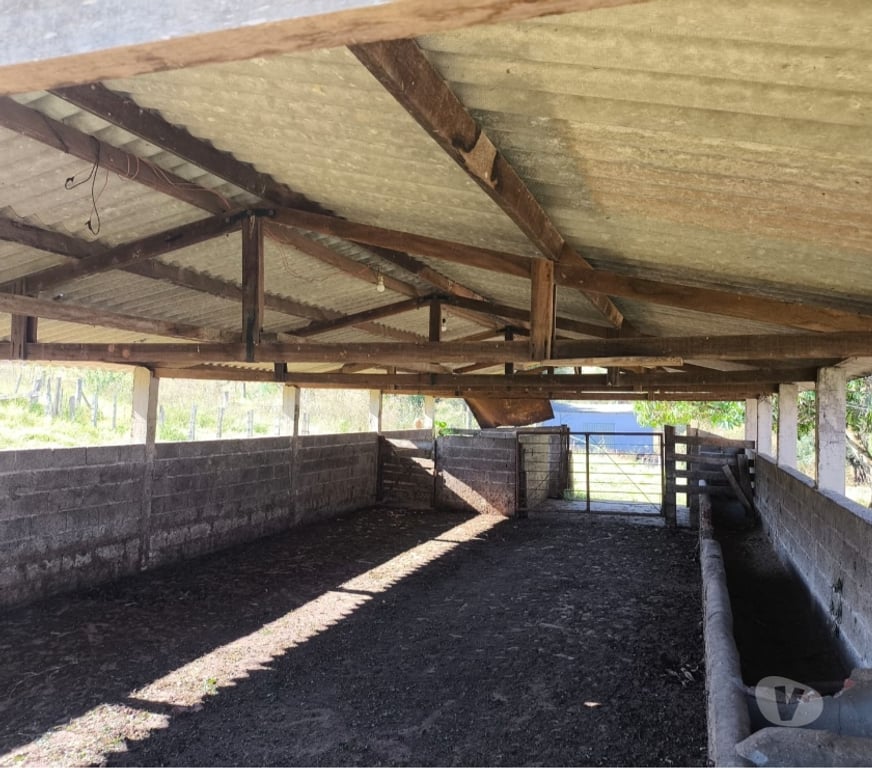 Fazendas - Sitios à venda Sao Sebastiao do Paraiso MG - Fotos para Sitio 20 alqueire região de Monte Santo de Minas