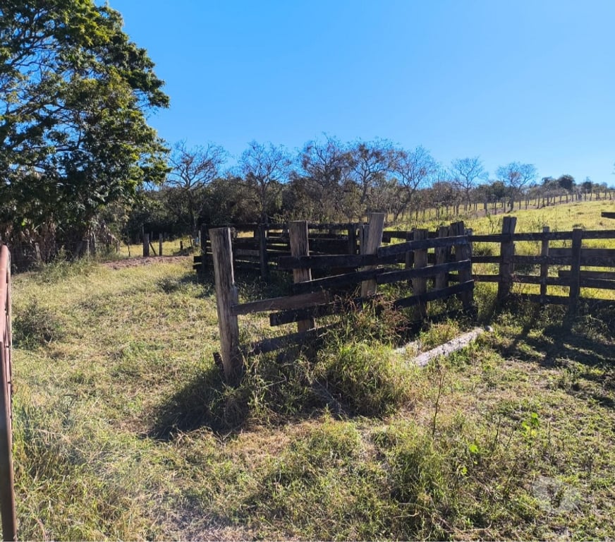 Fazendas - Sitios à venda Sao Sebastiao do Paraiso MG - Fotos para Sitio 20 alqueire região de Monte Santo de Minas