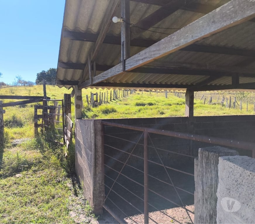 Fazendas - Sitios à venda Sao Sebastiao do Paraiso MG - Fotos para Sitio 20 alqueire região de Monte Santo de Minas