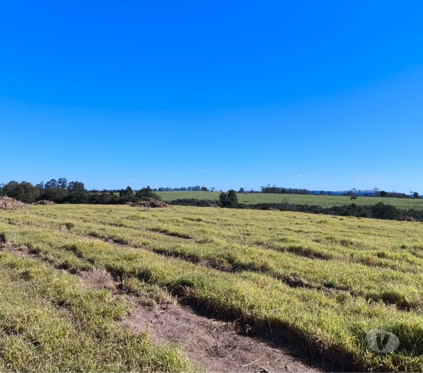 Fazendas - Sitios à venda Sao Sebastiao do Paraiso MG - Fotos para Sitio 20 alqueire região de Monte Santo de Minas