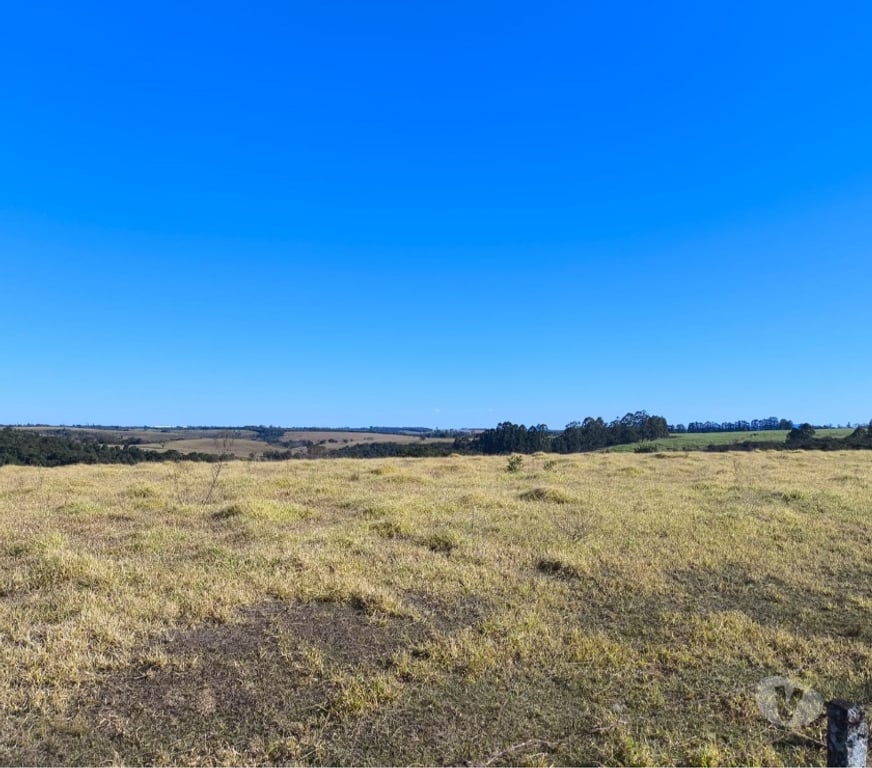 Fazendas - Sitios à venda Sao Sebastiao do Paraiso MG - Fotos para Sitio 20 alqueire região de Monte Santo de Minas