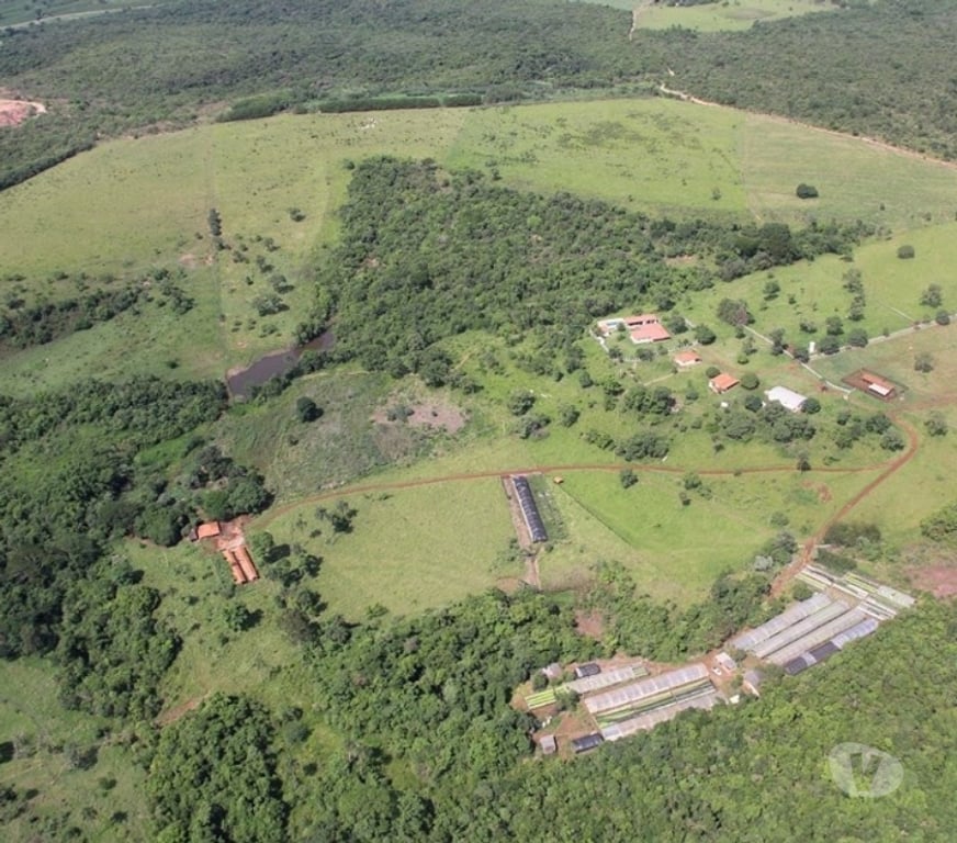 Fazendas - Sitios à venda Sao Sebastiao do Paraiso MG - images_alt_text Fazenda 100.39 hectares em Cajuru