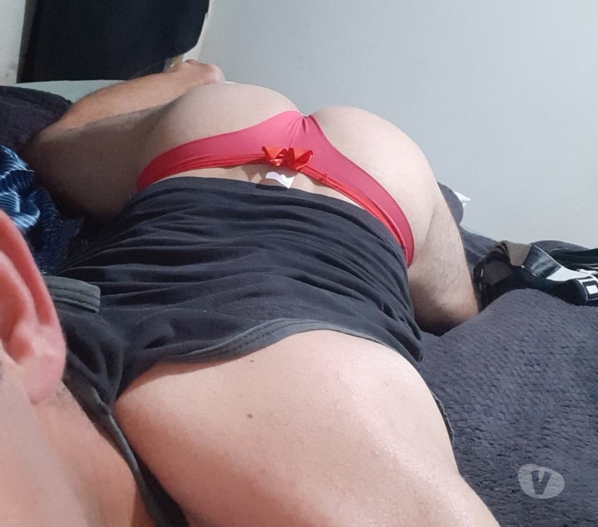 Homem procura Homem Porto Belo SC - Fotos para Putinho quer macho