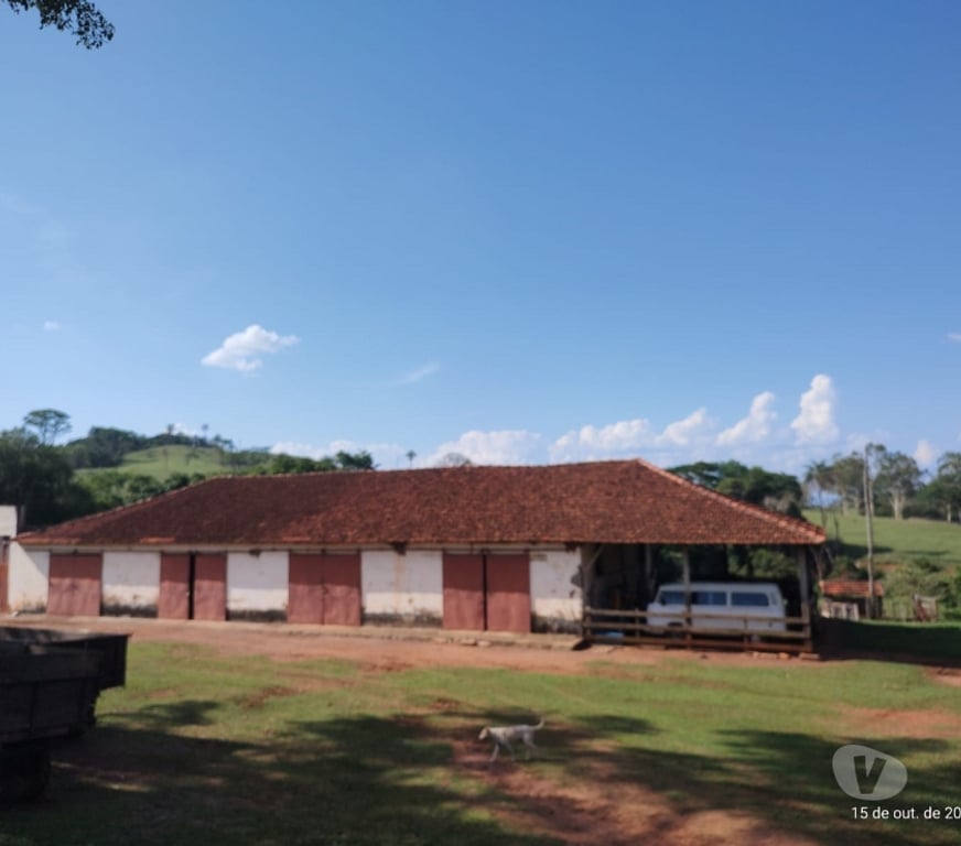 Fazendas - Sitios à venda Sao Sebastiao do Paraiso MG - Fotos para FAZENDA 203 ALQUEIRES EM CASSIA MG