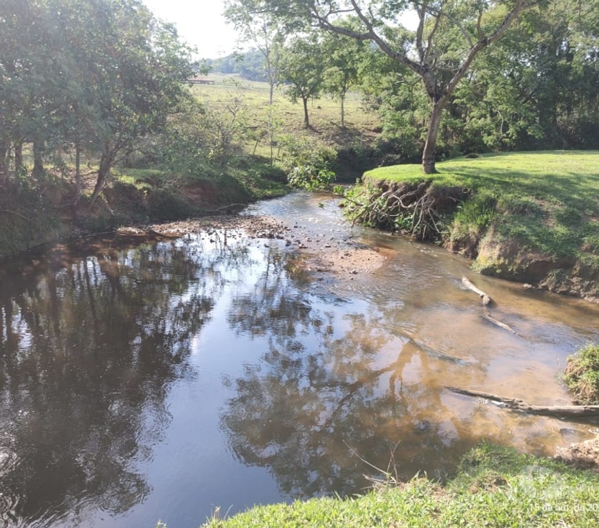 Fazendas - Sitios à venda Sao Sebastiao do Paraiso MG - Fotos para FAZENDA 203 ALQUEIRES EM CASSIA MG