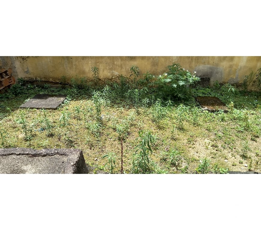 Apartamentos a venda Rio de Janeiro RJ Outros Bairros Rio de Janeiro RJ - Fotos para APARTAMENTO TIPO CASA 150 M²