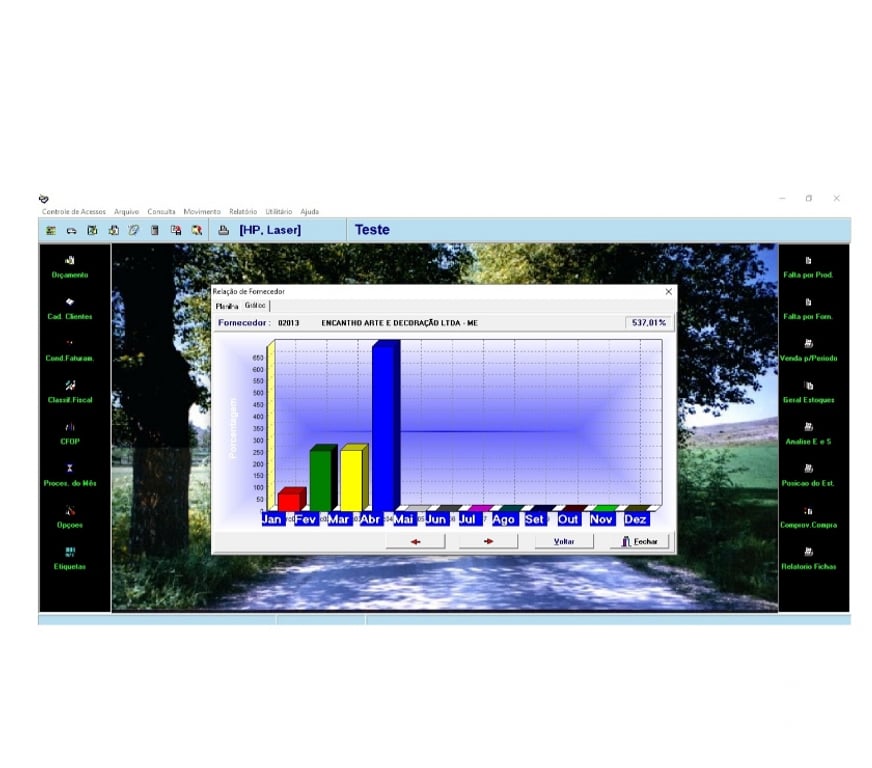 Serviços de Informática Campinas SP - Fotos para Sistema Martins Completo de Estoque, Caixa e Financeiro