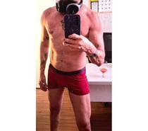 Gato arisco quer dono atv que saiba domar