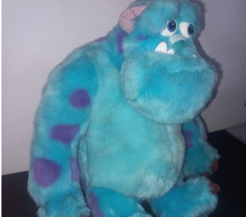 Colecionadores Santana Sao Paulo SP - Fotos para Pelúcia Disney original