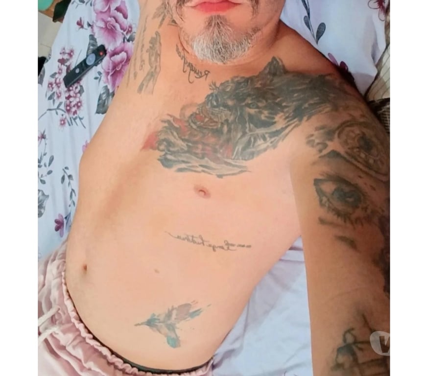 Encontros Casuais Campo Grande MS - Fotos para Lobo tatuado 1985