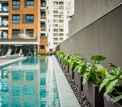 Alugar casas - Apartamentos Pinheiros Sao Paulo SP - Fotos para Apartamento Pinheiros Alugo