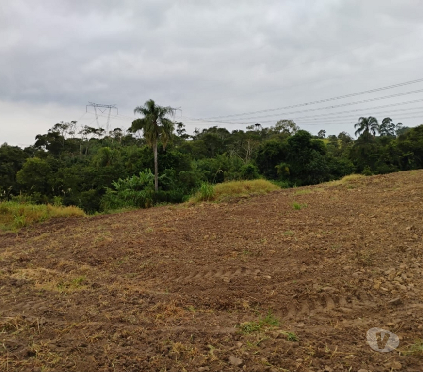 Fazendas - Sitios à venda Piedade SP - Fotos para Chácara 26 mil metros