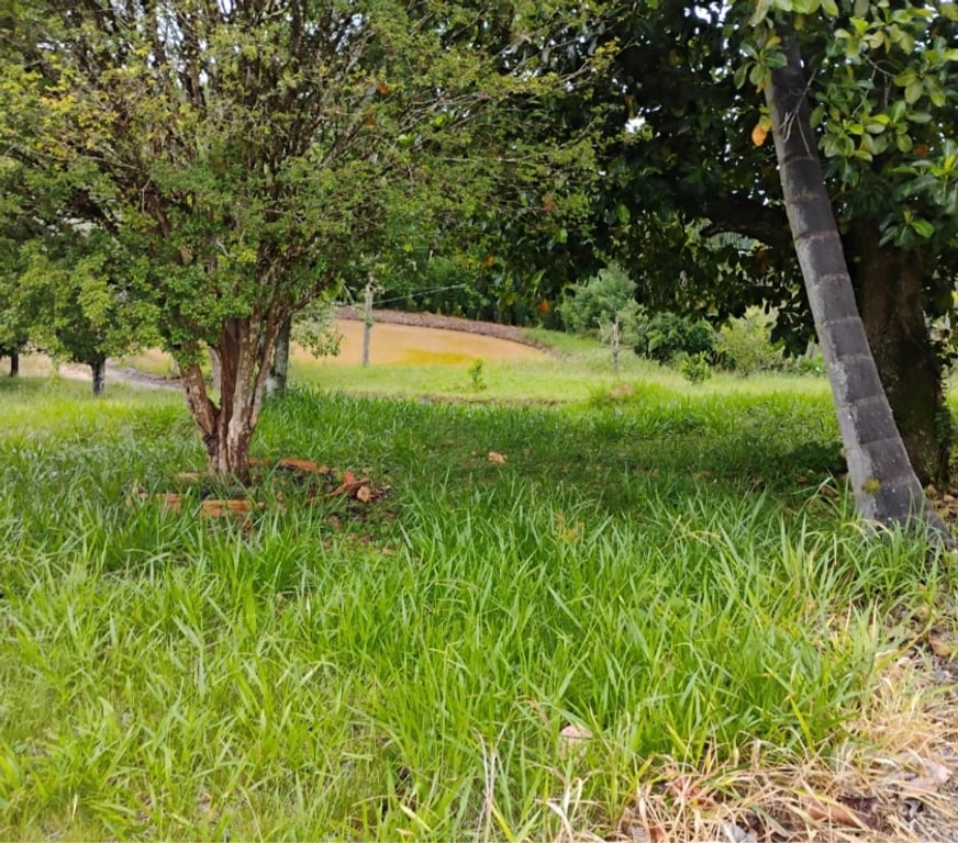 Fazendas - Sitios à venda Piedade SP - Fotos para Chácara 26 mil metros