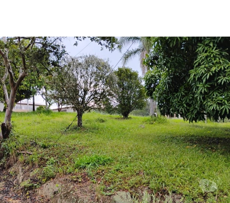 Fazendas - Sitios à venda Piedade SP - Fotos para Chácara 26 mil metros