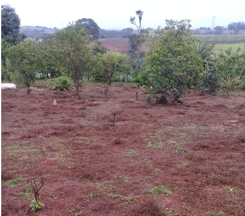 Fazendas - Sitios à venda Piedade SP - Fotos para Chácara à venda em Piedade