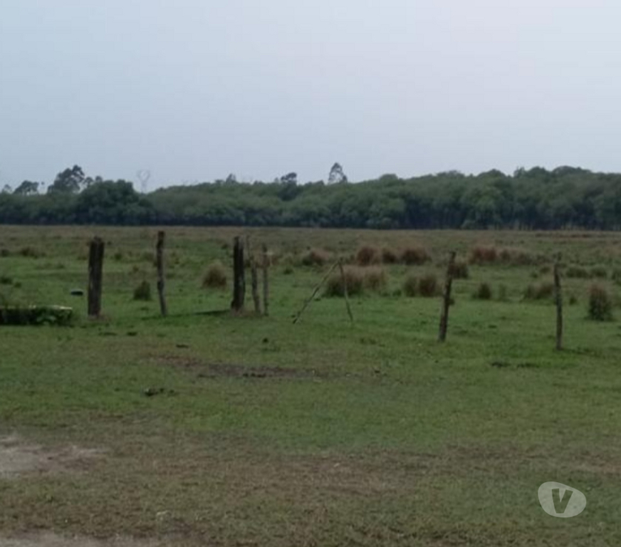 Fazendas - Sitios à venda Itaguai RJ - Fotos para Fazenda em Itaguai (Seropedica)!