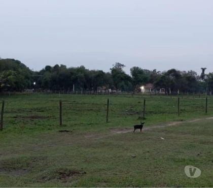 Fazendas - Sitios à venda - Fotos para Fazenda em Itaguai (Seropedica)!