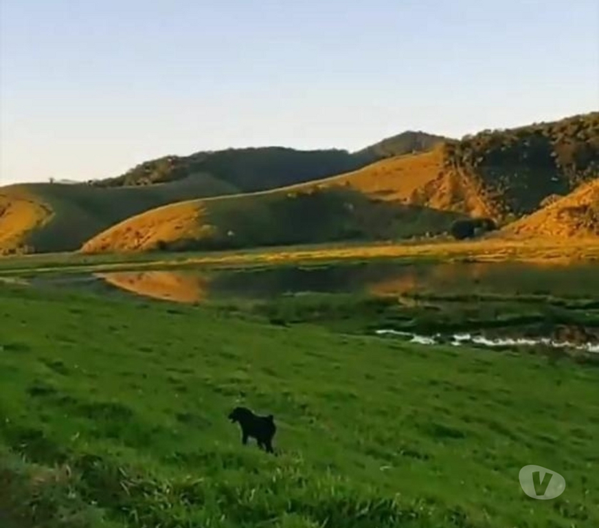 Fazendas - Sitios à venda Silva Jardim RJ - images_alt_text Fazenda em Silva Jardim!!