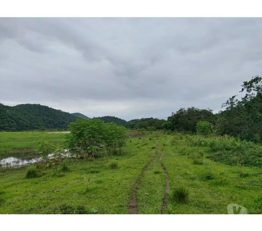 Fazendas - Sitios à venda Silva Jardim RJ - images_alt_text Fazenda em Silva Jardim!!