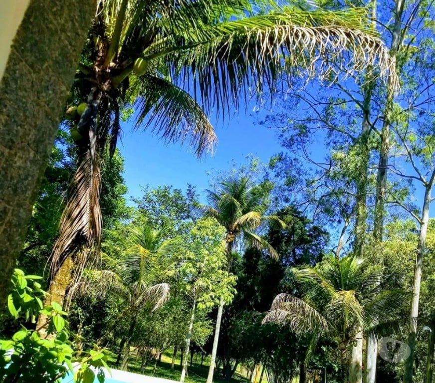 Fazendas - Sitios à venda Silva Jardim RJ - images_alt_text Fazenda em Silva Jardim!!