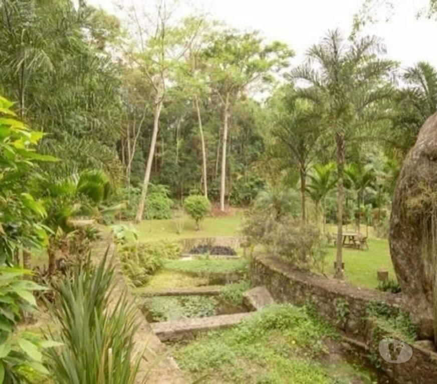 Terrenos Rio de Janeiro RJ Itanhanga - Fotos para Reserva do Itanhangá - Terreno de 5401m2