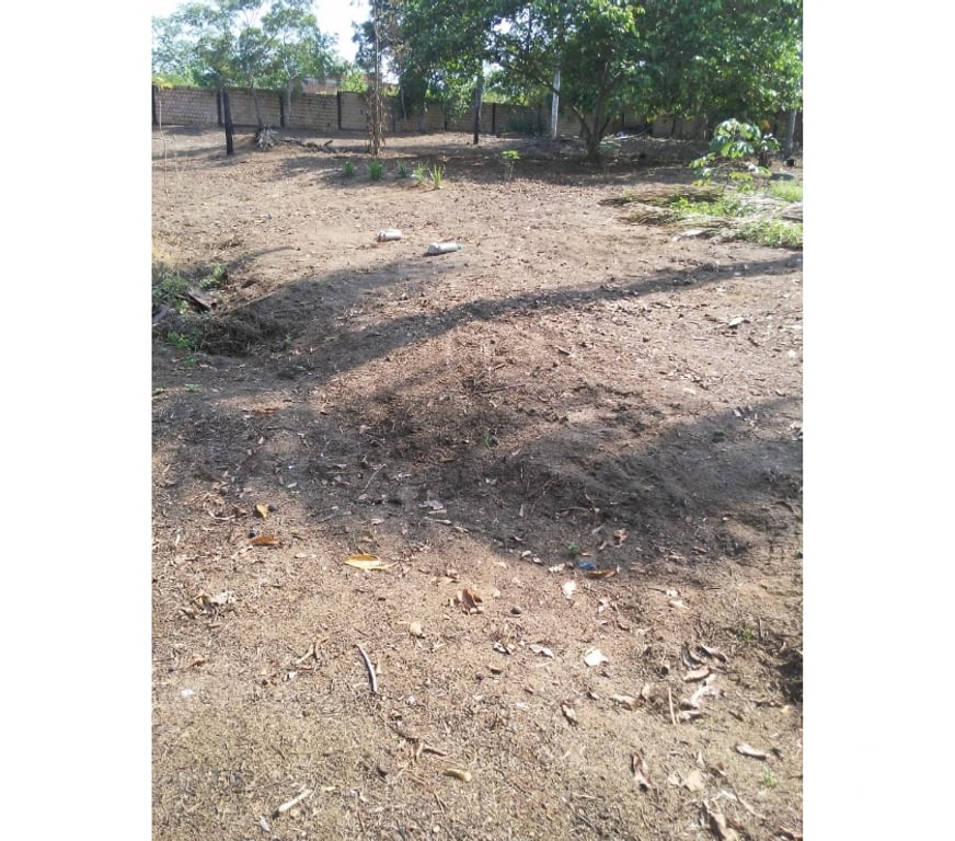 Terrenos Manaus AM - Fotos para Vendo lotes 10x40 em área murada, temos 6 lotes para venda