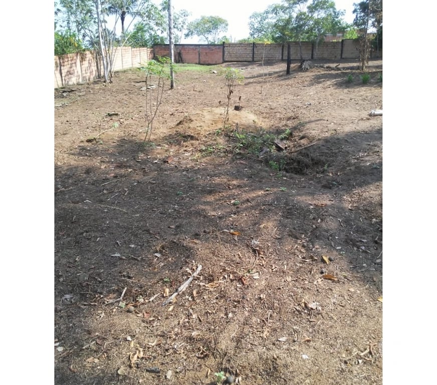 Terrenos Manaus AM - Fotos para Vendo lotes 10x40 em área murada, temos 6 lotes para venda