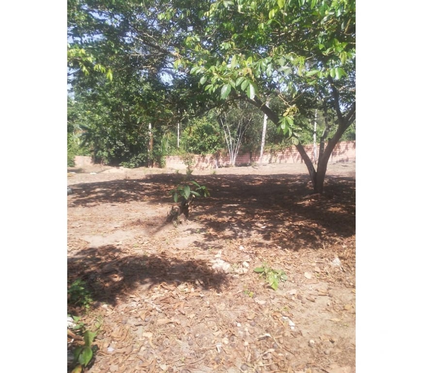 Terrenos Manaus AM - Fotos para Vendo lotes 10x40 em área murada, temos 6 lotes para venda