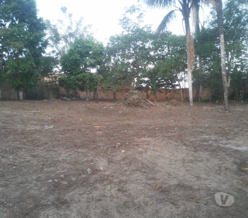 Terrenos Manaus AM - Fotos para Vendo lotes 10x40 em área murada, temos 6 lotes para venda