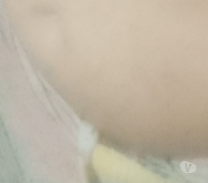 Encontros Casuais Joao Pessoa PB João Pessoa Centro - Fotos para Ativo pra mulheres e casais totalmente sigiloso