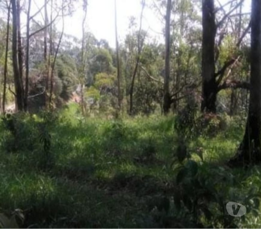 Terrenos Campo Limpo Paulista SP - Fotos para Terreno 5000m2 localização privilegiada