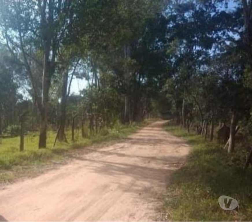 Terrenos Campo Limpo Paulista SP - Fotos para Terreno 5000m2 localização privilegiada