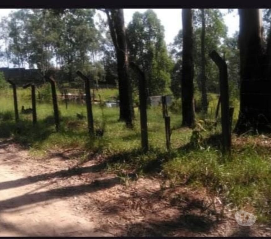 Terrenos Campo Limpo Paulista SP - Fotos para Terreno 5000m2 localização privilegiada