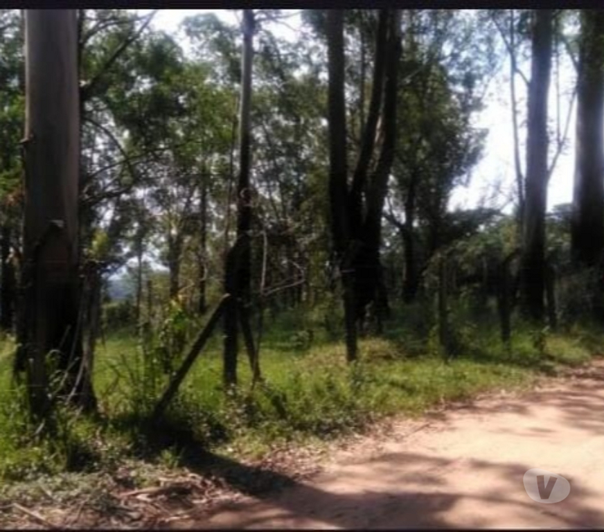 Terrenos Campo Limpo Paulista SP - Fotos para Terreno 5000m2 localização privilegiada