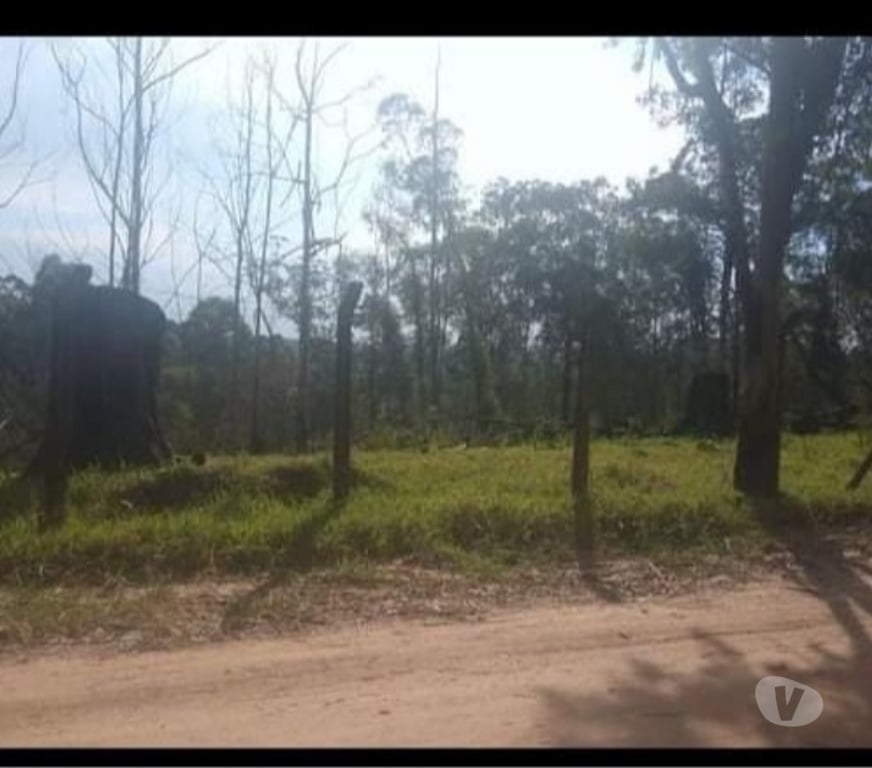 Terrenos Campo Limpo Paulista SP - Fotos para Terreno 5000m2 localização privilegiada
