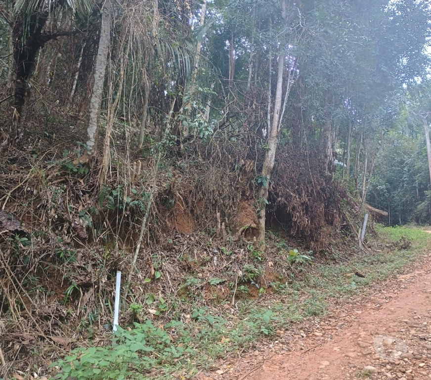 Terrenos Parati RJ - Fotos para Oportunidade única em Paraty! Terreno com valor incrível!