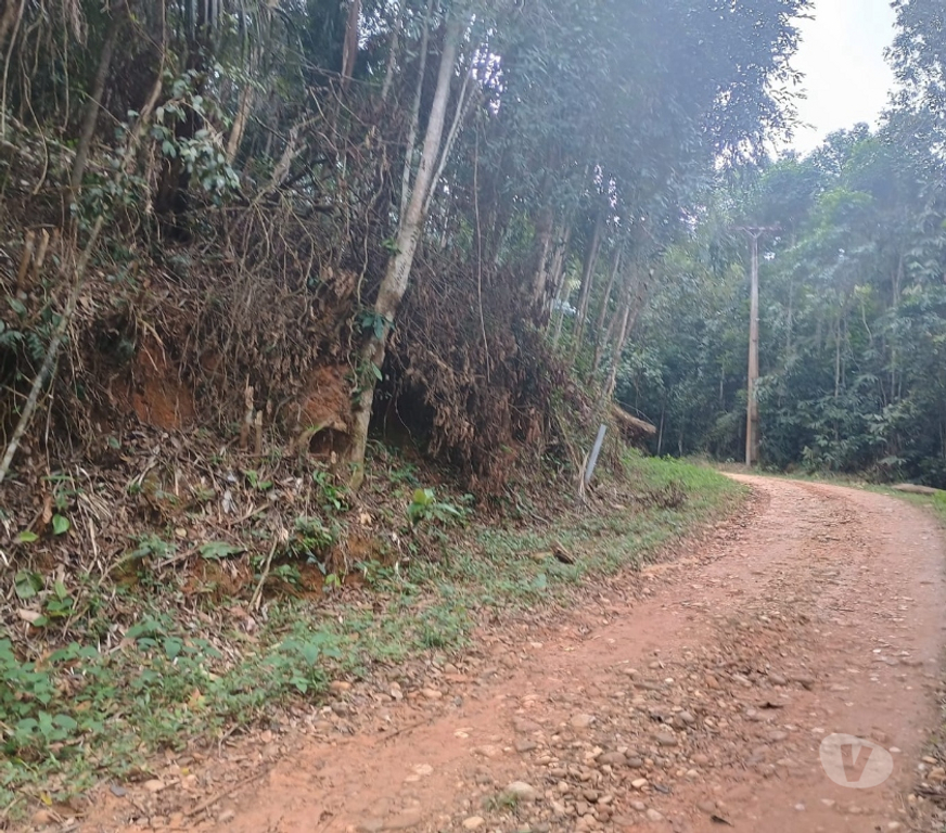 Terrenos Parati RJ - Fotos para Oportunidade única em Paraty! Terreno com valor incrível!