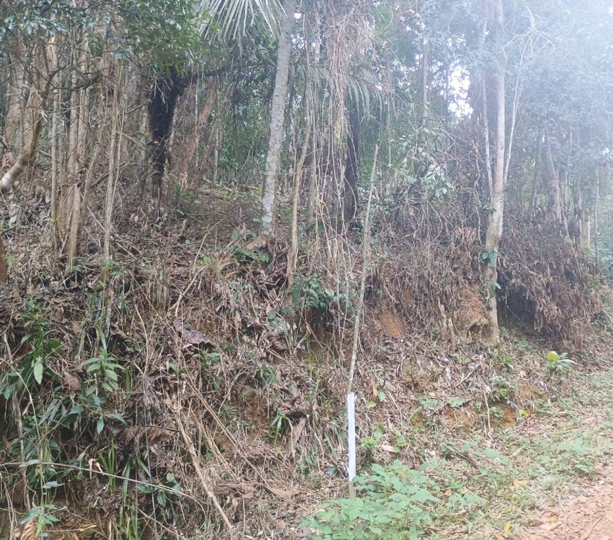 Terrenos Parati RJ - Fotos para Oportunidade única em Paraty! Terreno com valor incrível!