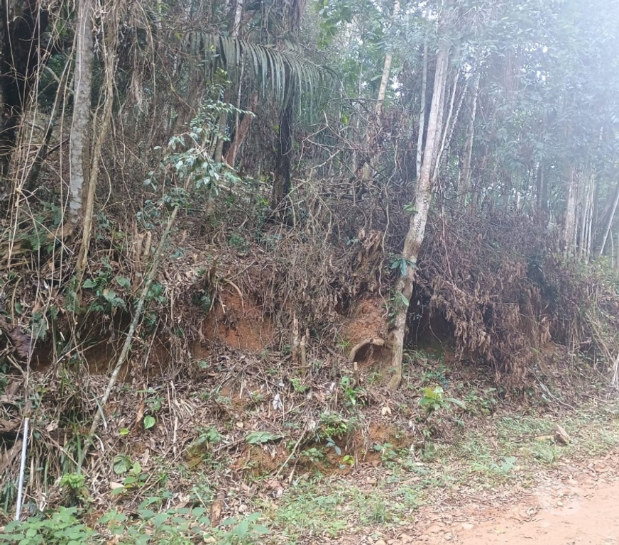 Terrenos Parati RJ - Fotos para Oportunidade única em Paraty! Terreno com valor incrível!