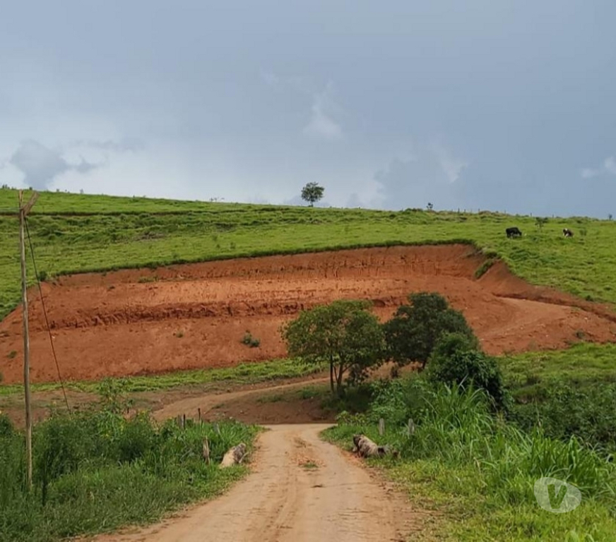 Terrenos Joanopolis SP - Fotos para terreno de 4000 metros a venda em joanopolis