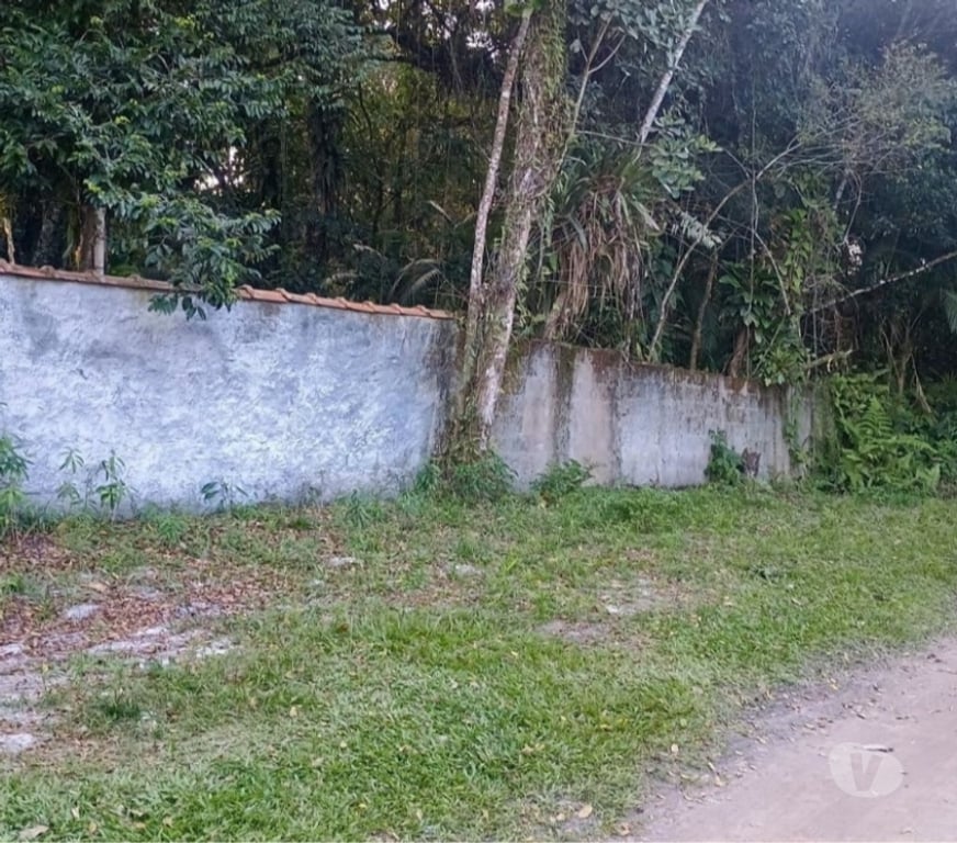 Terrenos Itanhaem SP - Fotos para Terreno para chácara na praia